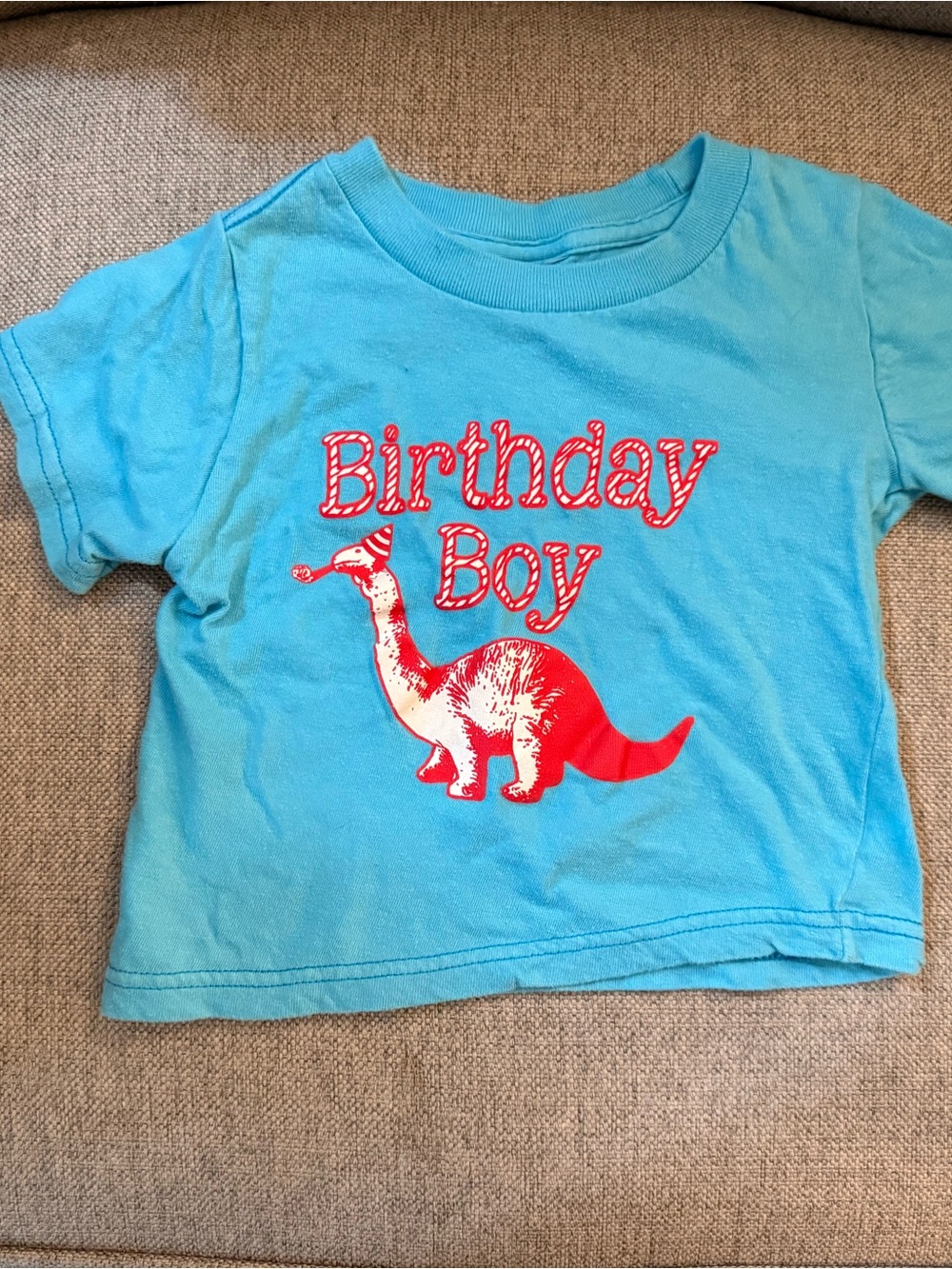 Birthday Boy Blue Tee with Red Dino Graphic